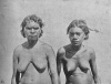 Fig. 14. Young Women, Arunta Tribe, full face