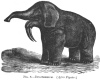 FIG. 8.—DINOTHERIUM. (After Figuier.)