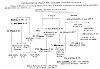 GENEALOGICAL CHART FOR EARLIEST HISTORY OF ISLAM